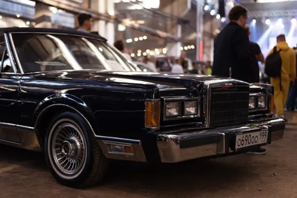 كازينو وايلد جاك تطبيق أندرويد/آي أو إس